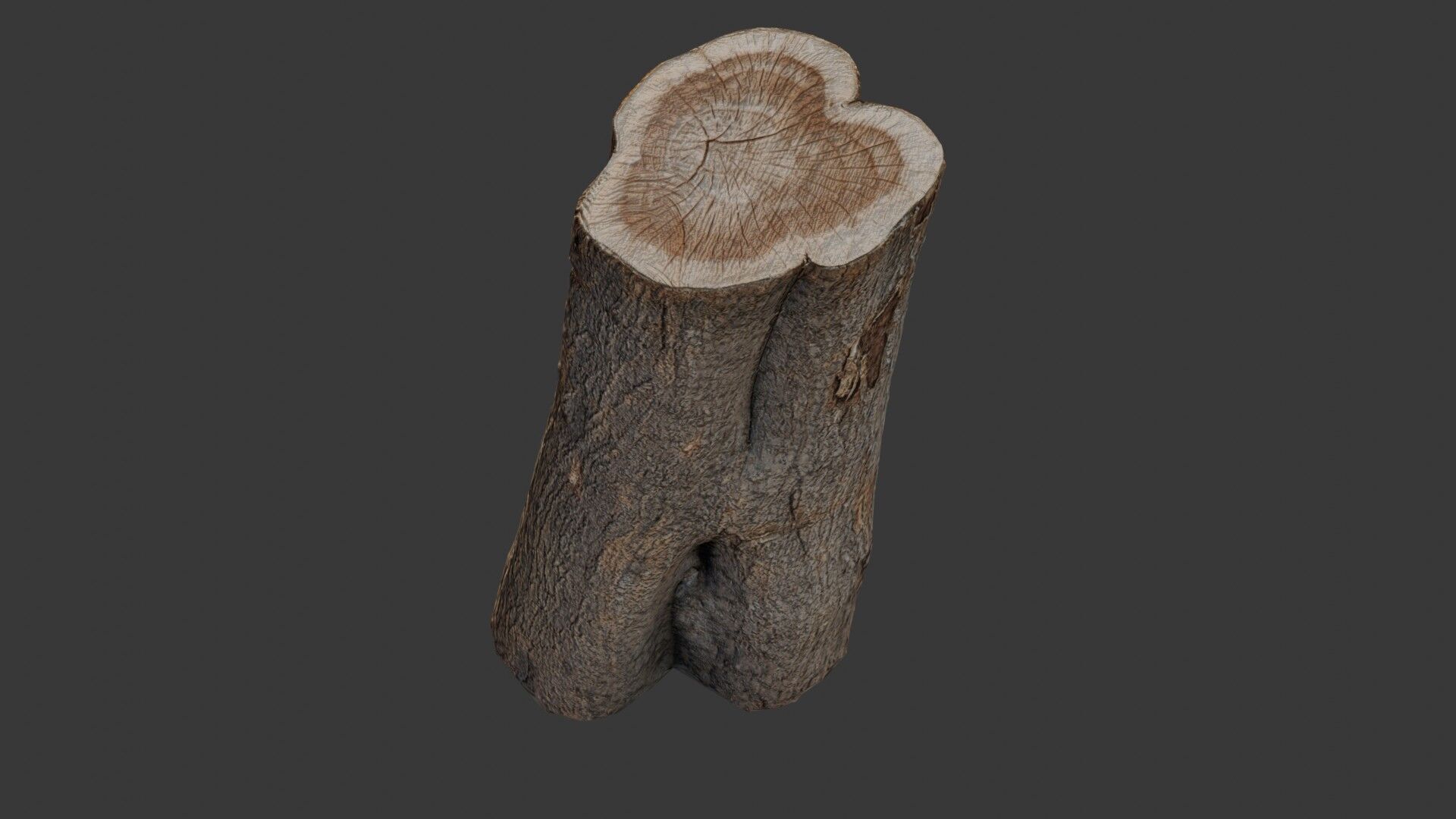 Tree Stump Scan Low-poly 3D model_7