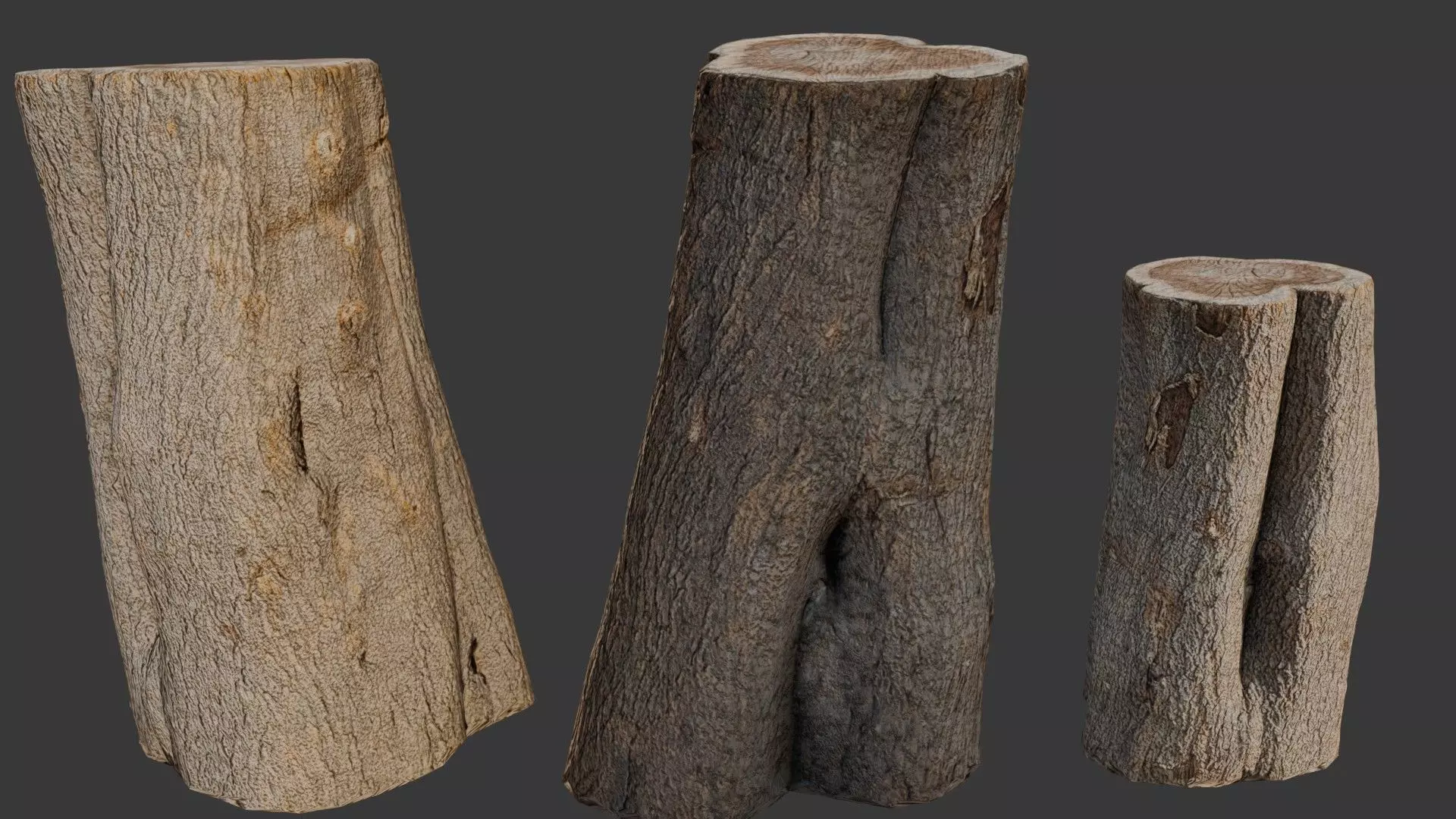 Tree Stump Scan Low-poly 3D model_0
