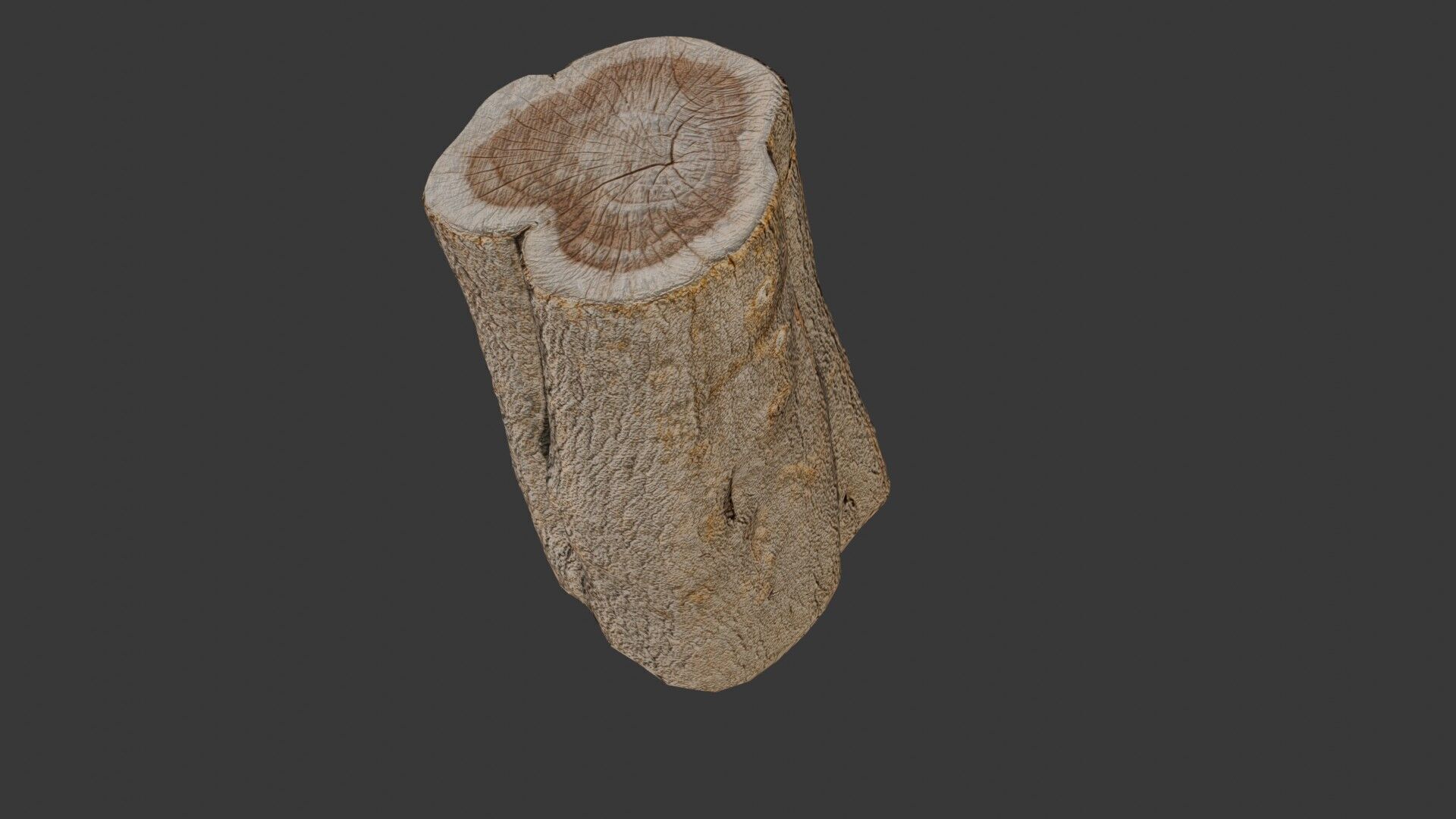 Tree Stump Scan Low-poly 3D model_5