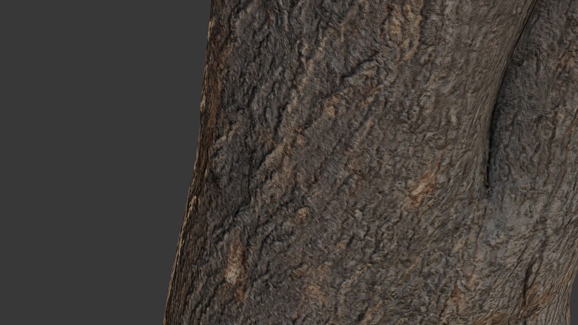 Tree Stump Scan Low-poly 3D model_3