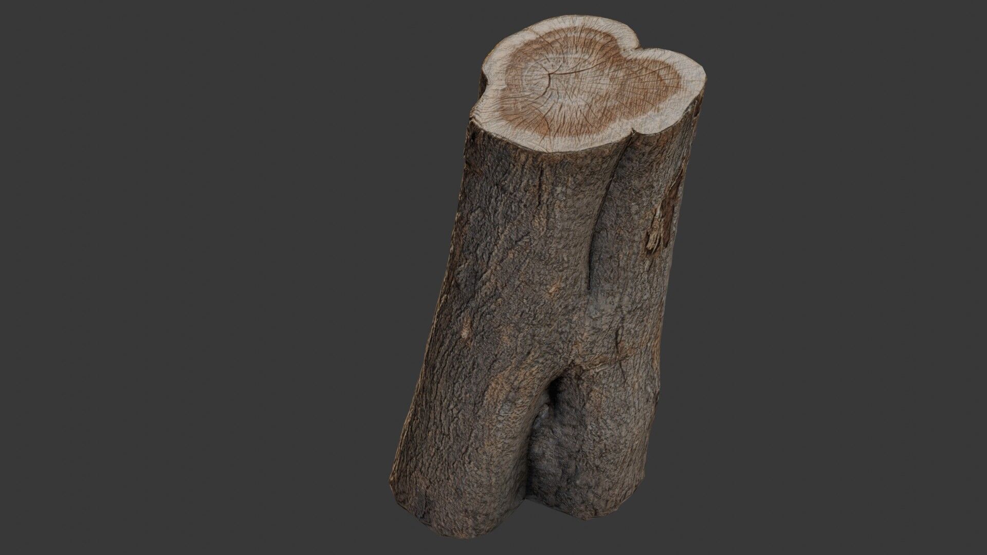 Tree Stump Scan Low-poly 3D model_1