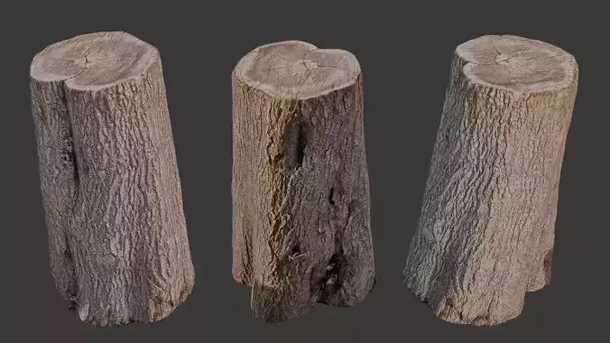 Realistic Tree Stump 