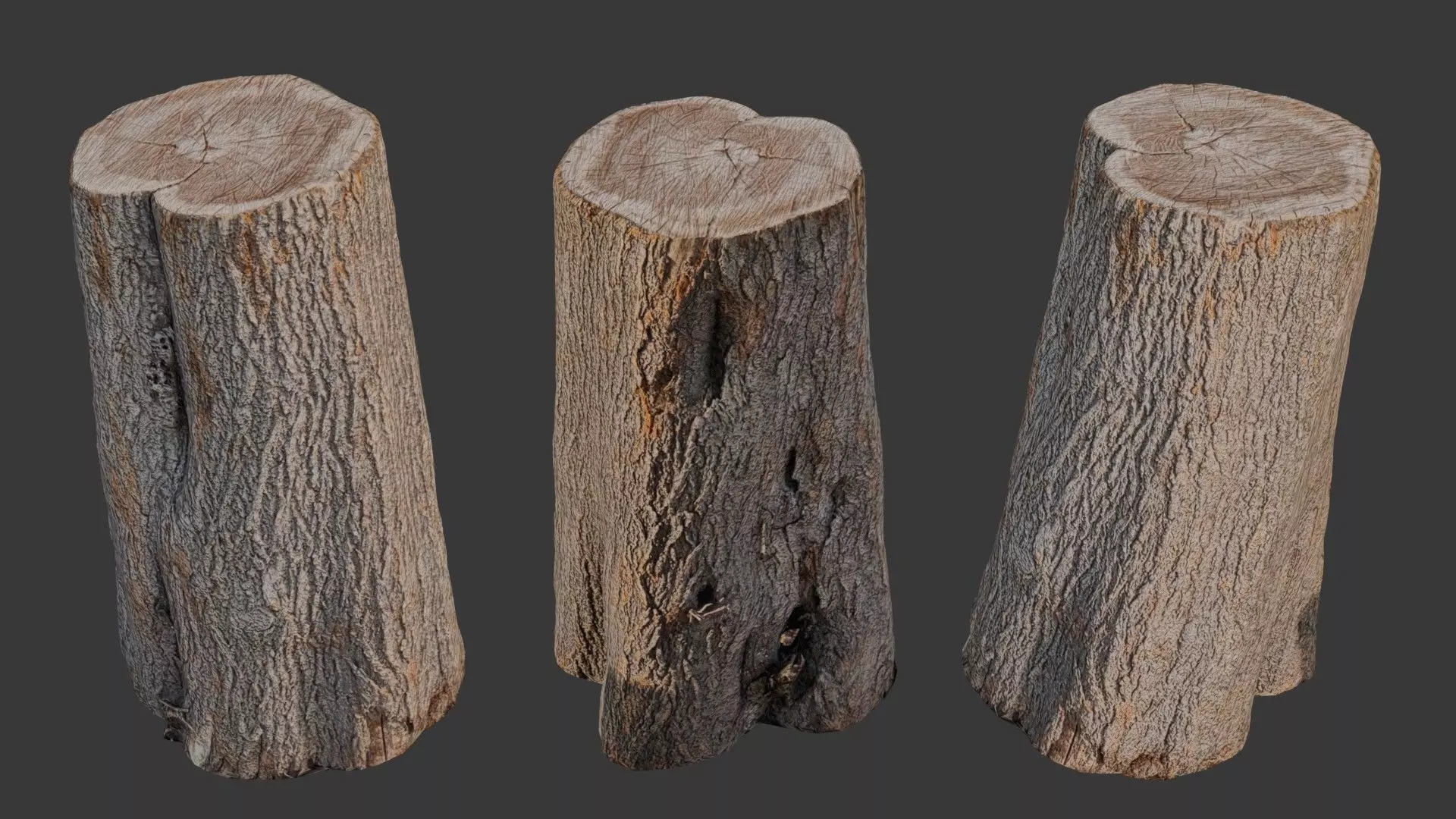 Realistic Tree Stump Low-poly 3D model