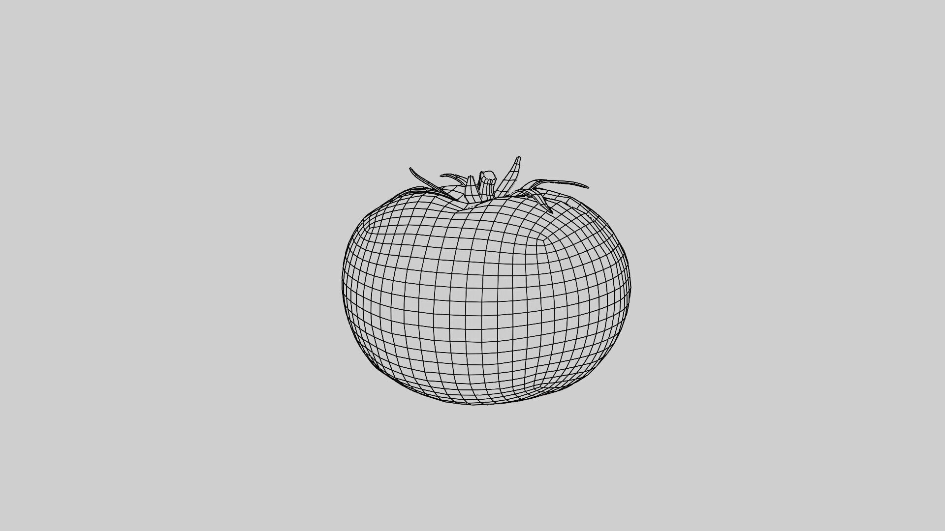 Tomato 3D model_4
