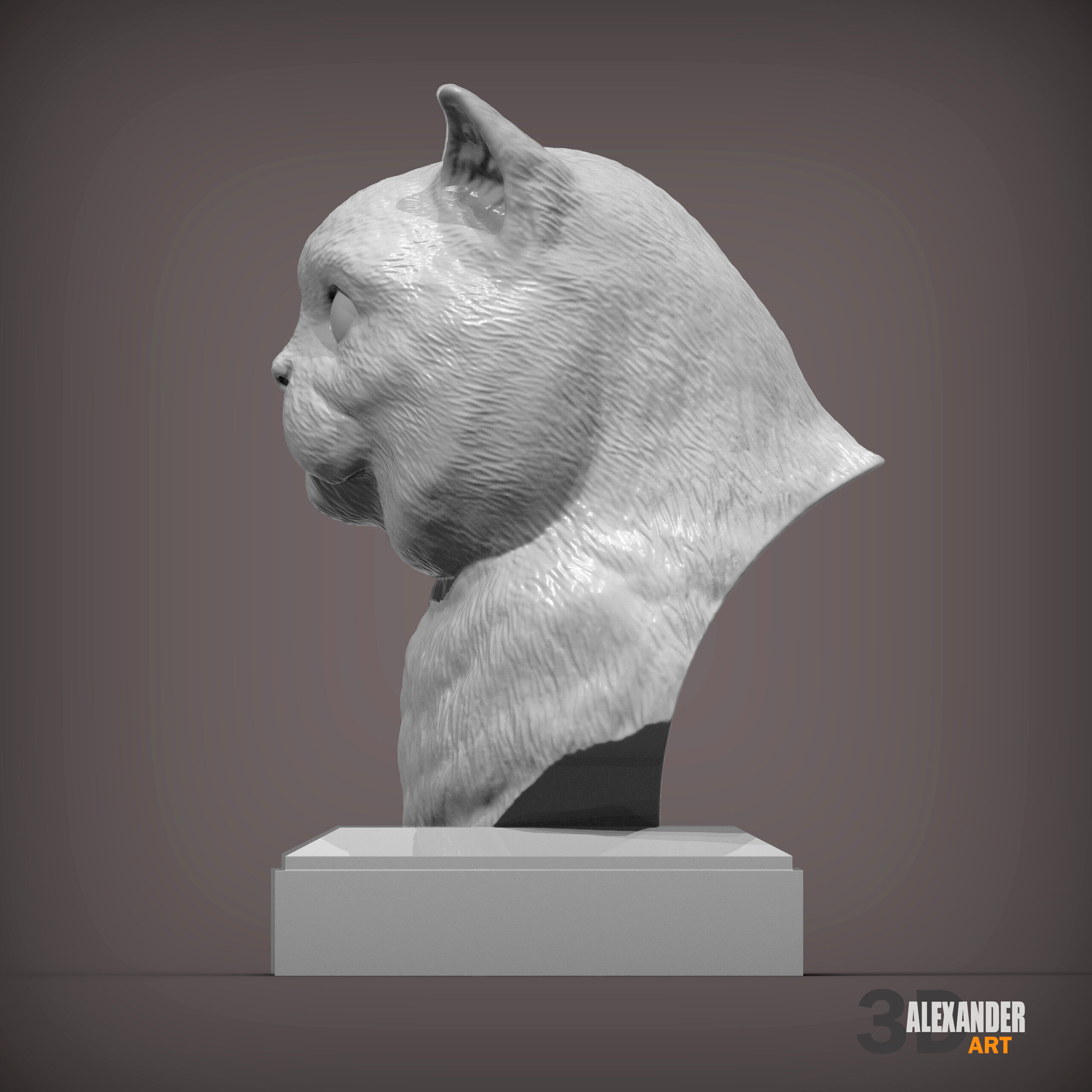 British Shorthair Cat Bust 3D print model_2