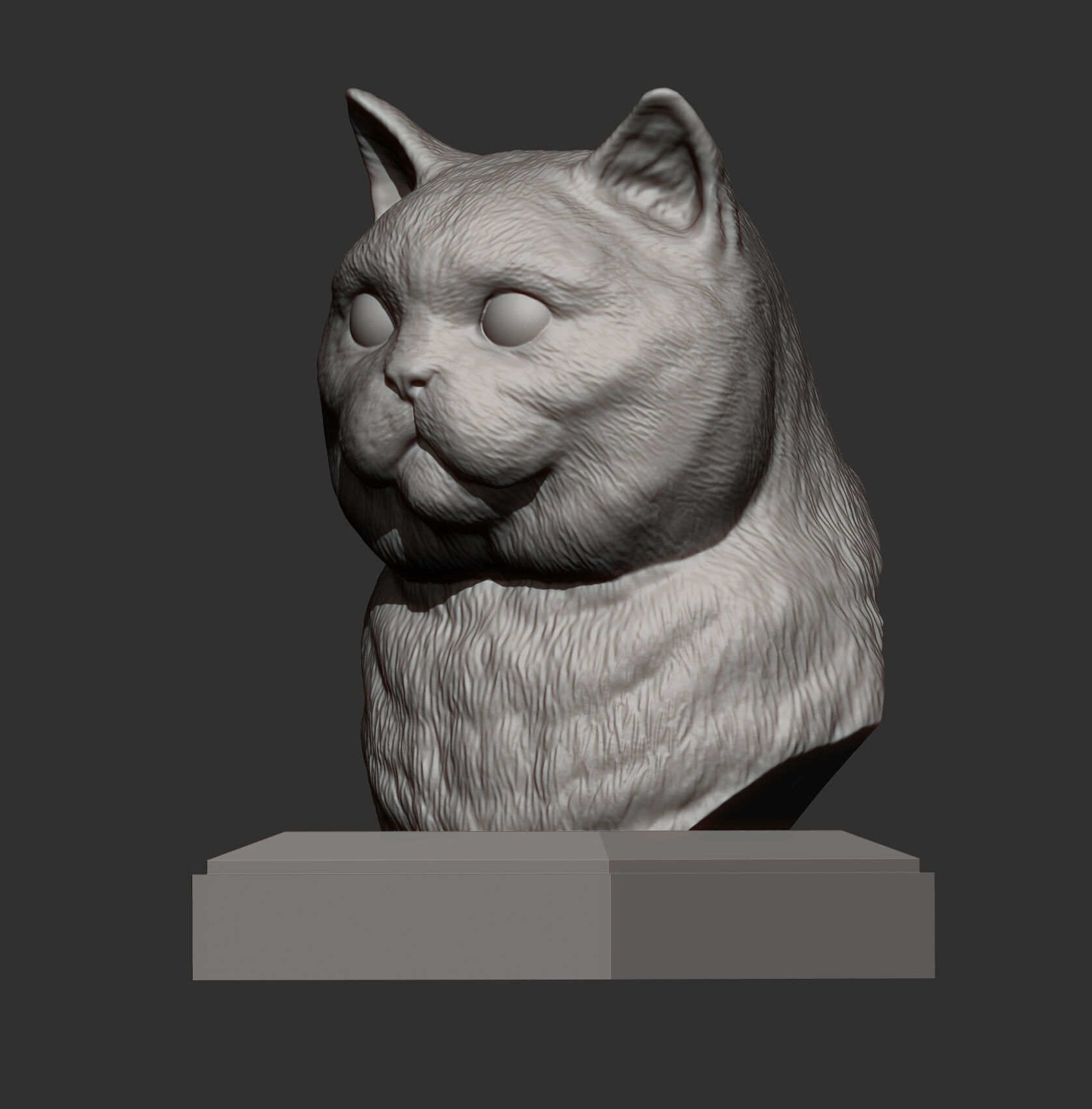 British Shorthair Cat Bust 3D print model_3