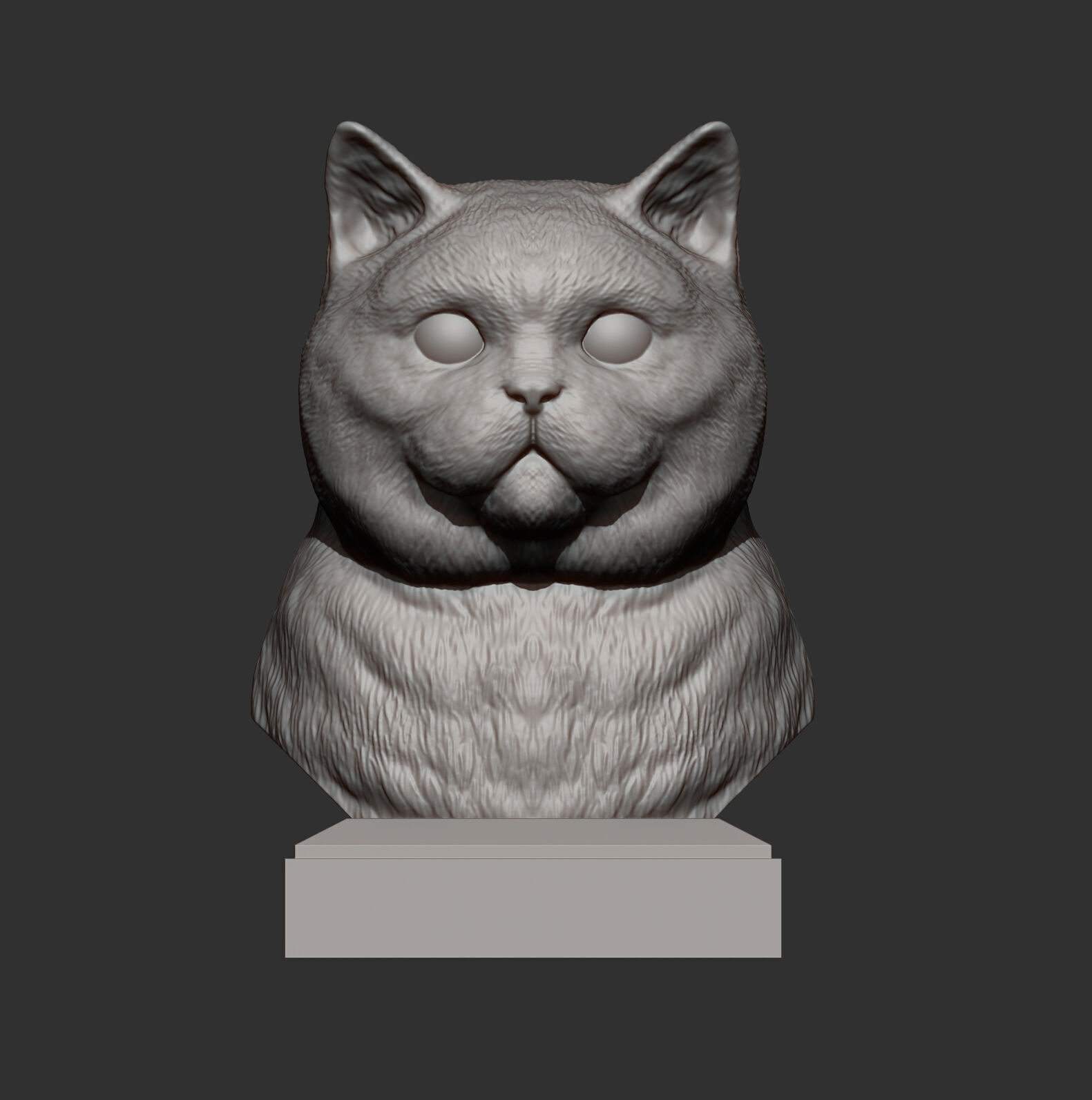 British Shorthair Cat Bust 3D print model_4