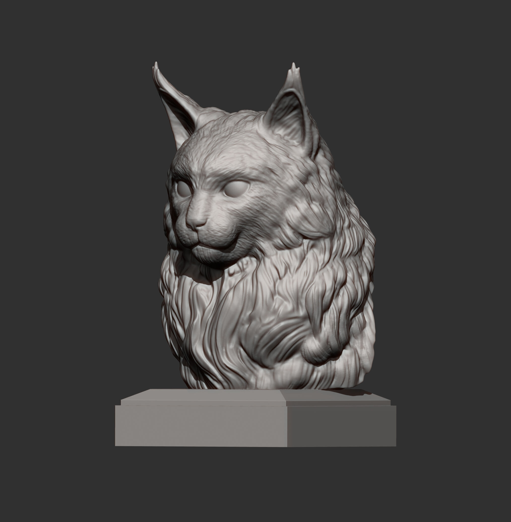 Maine Coon Bust 3D print model_3
