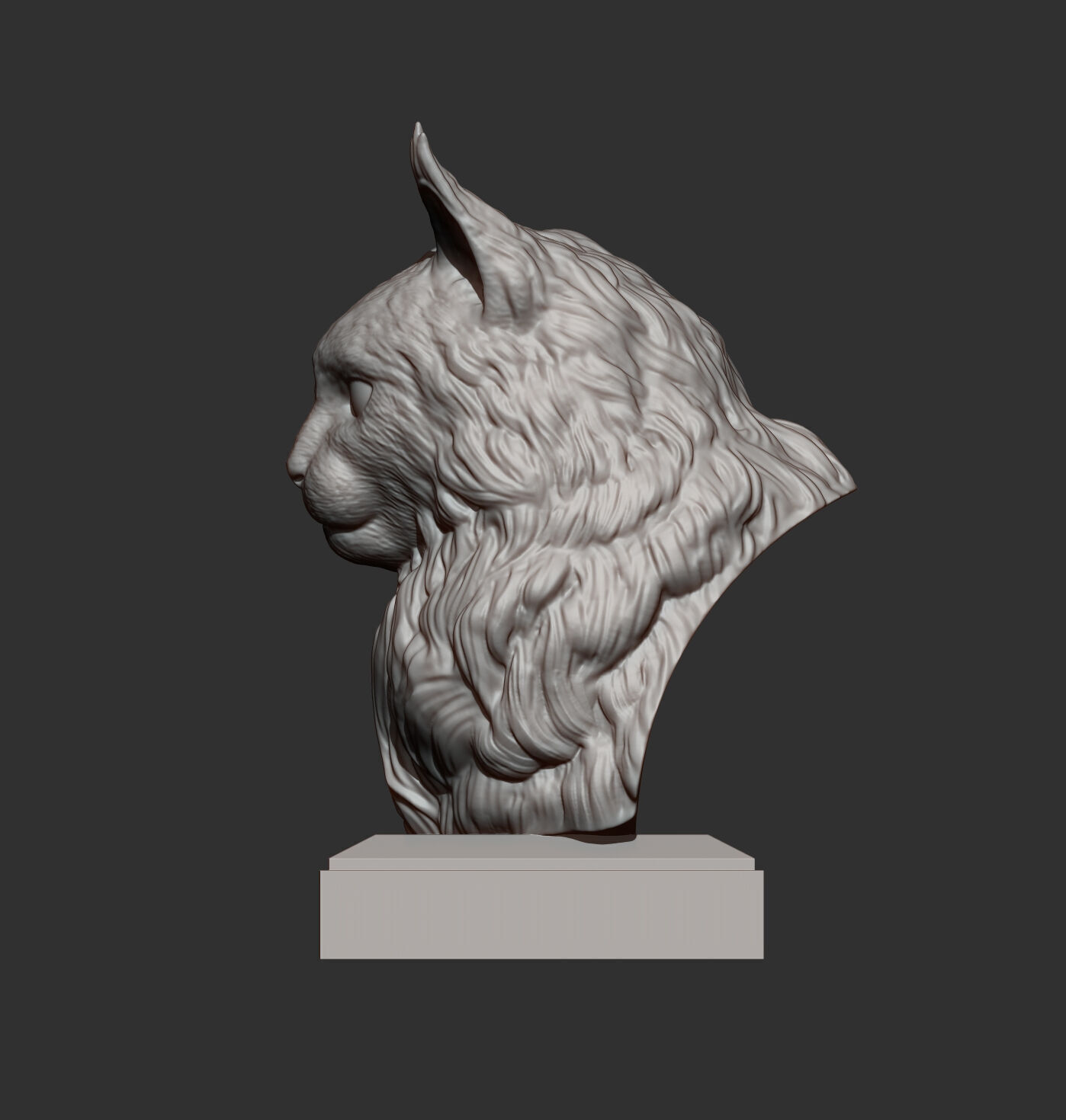 Maine Coon Bust 3D print model_8