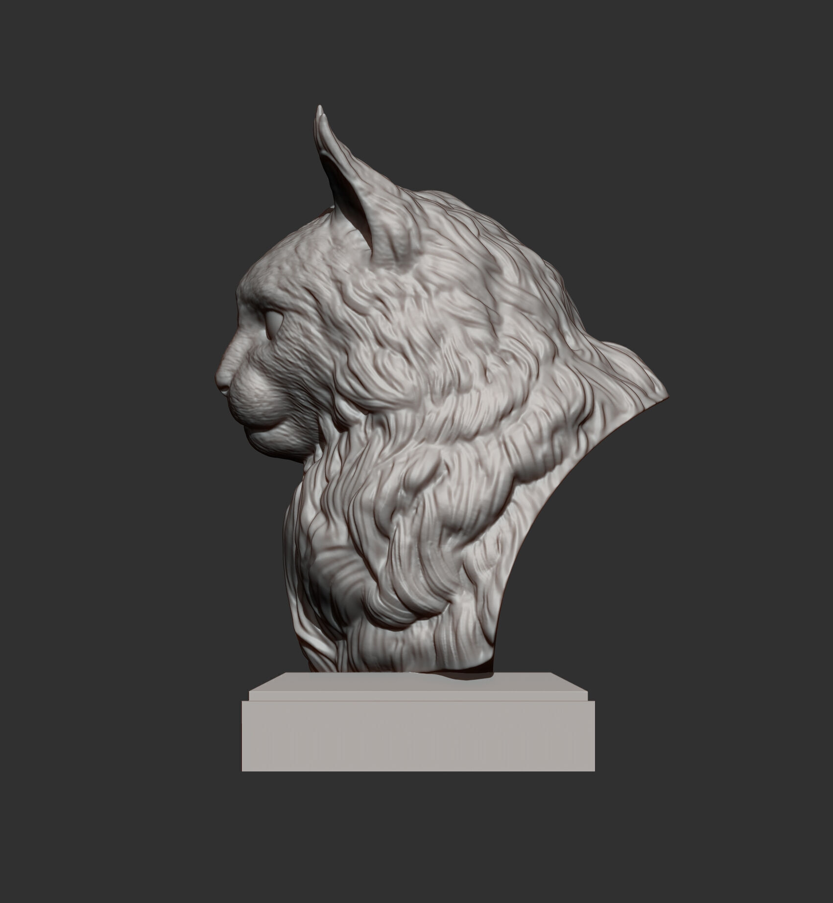 Maine Coon Bust 3D print model_5