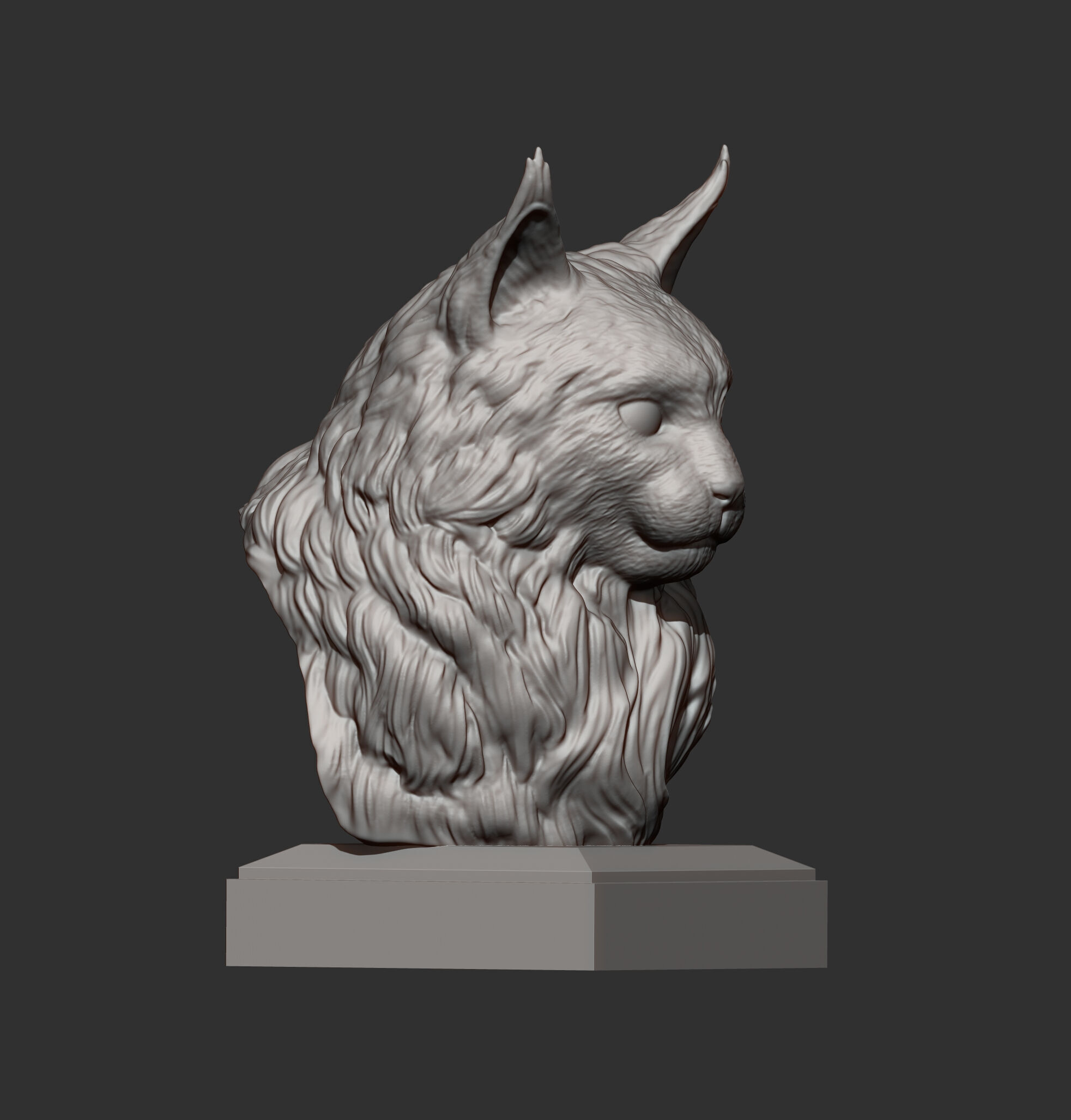 Maine Coon Bust 3D print model_7