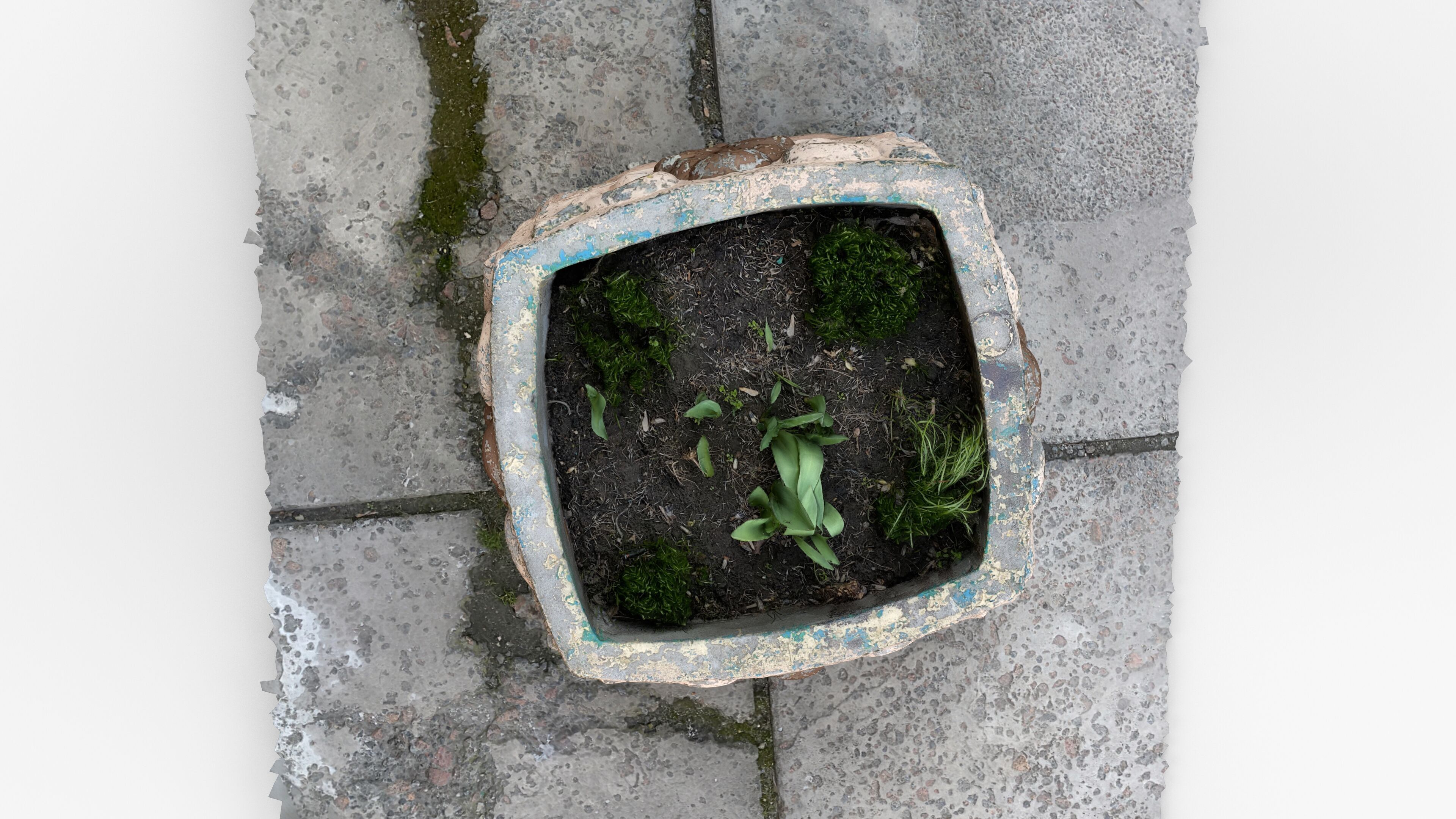 Photorealistic 3D scan of concrete abandoned empty planter Low-poly 3D model_12
