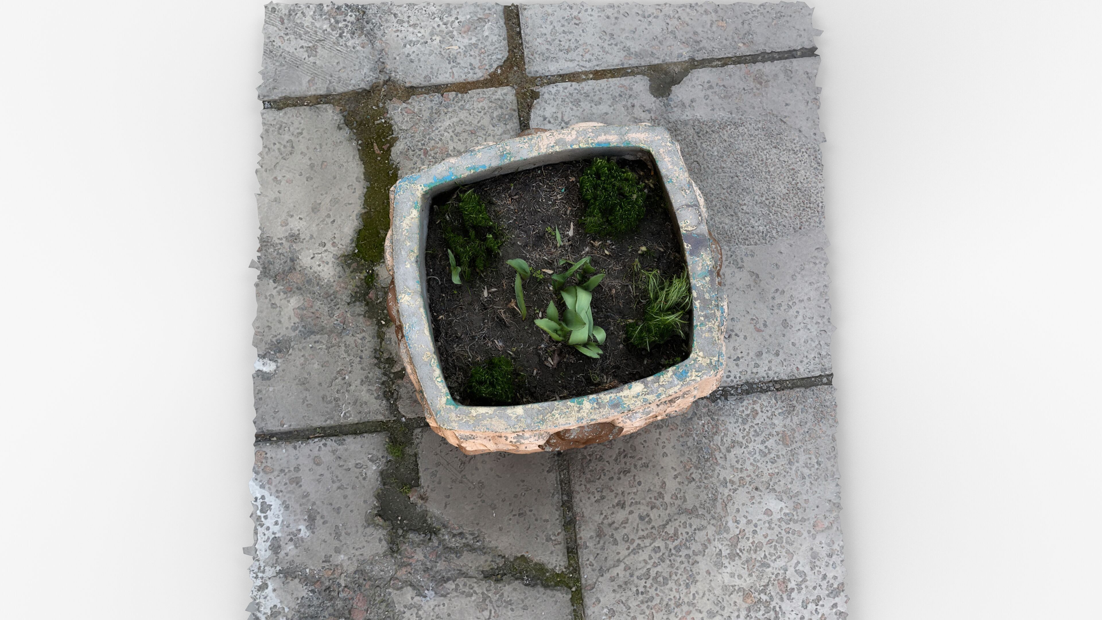Photorealistic 3D scan of concrete abandoned empty planter Low-poly 3D model_13
