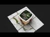 Photorealistic 3D scan of concrete abandoned empty planter Low-poly 3D model_1