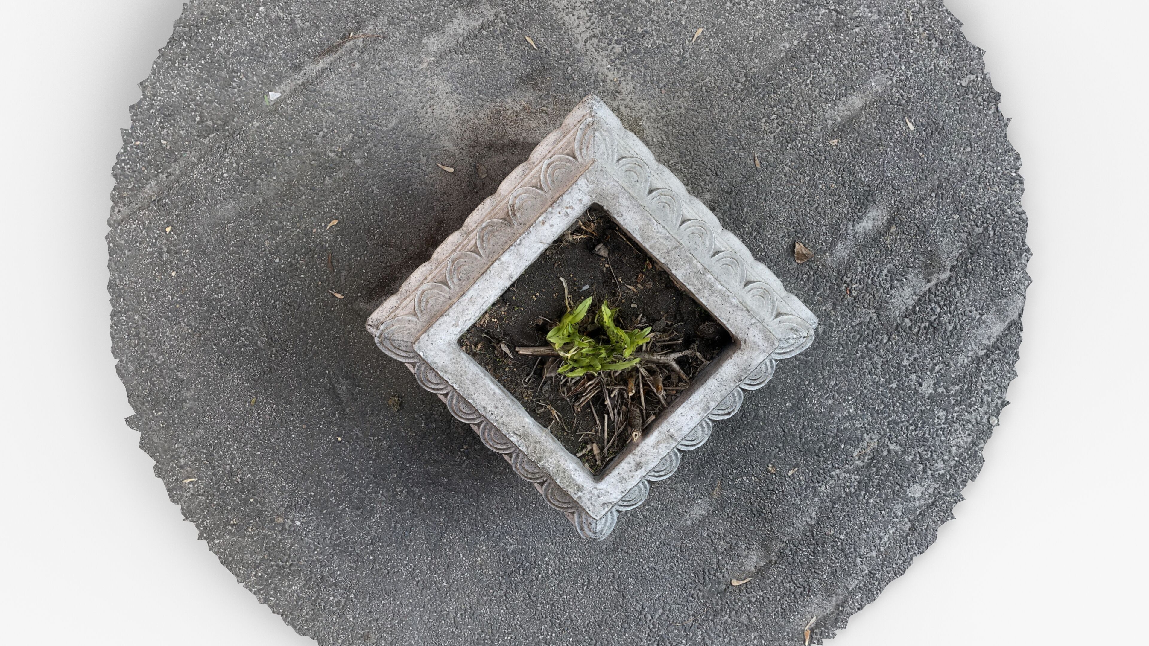 Photorealistic 3D scan of concrete abandoned empty planter Low-poly 3D model_15