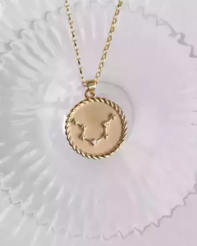 Zodiac  Necklace 