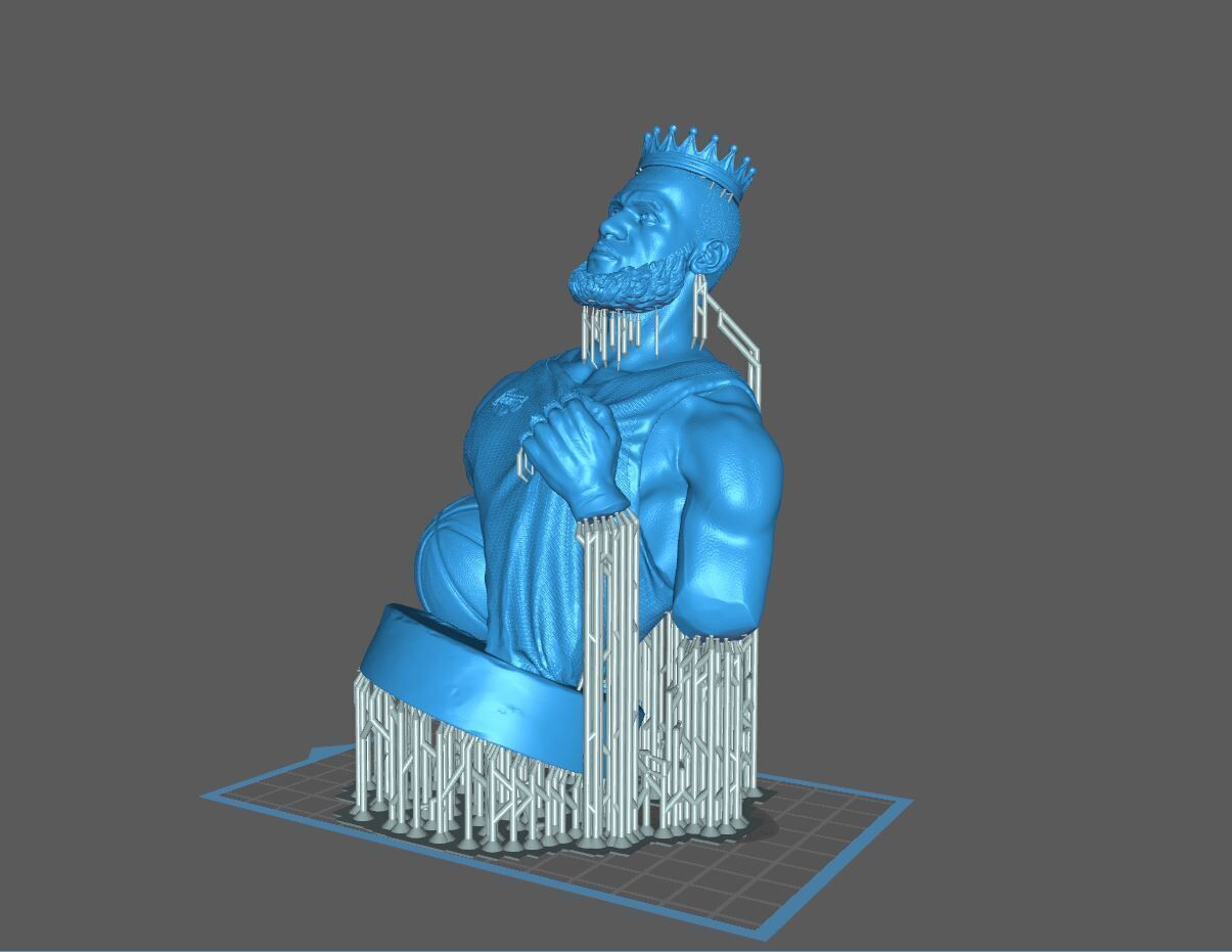 Lebron James Bust for 3D printing 3D print model_8