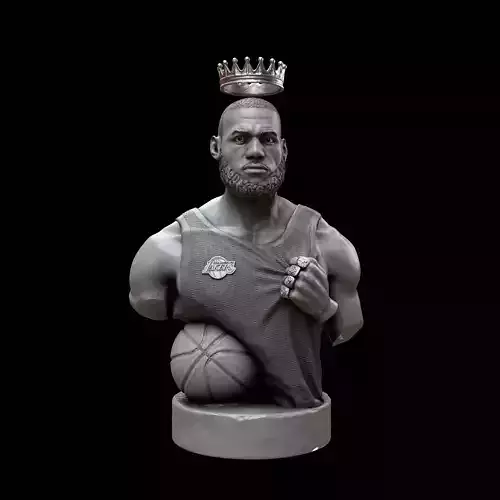 Lebron James Bust for 3D printing 3D print model