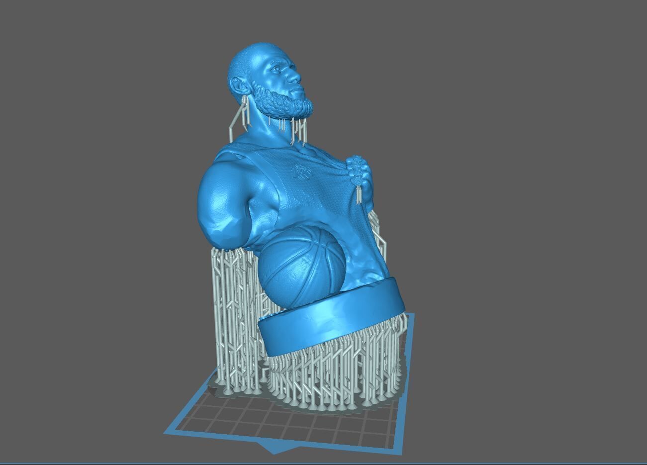 Lebron James Bust for 3D printing 3D print model_7