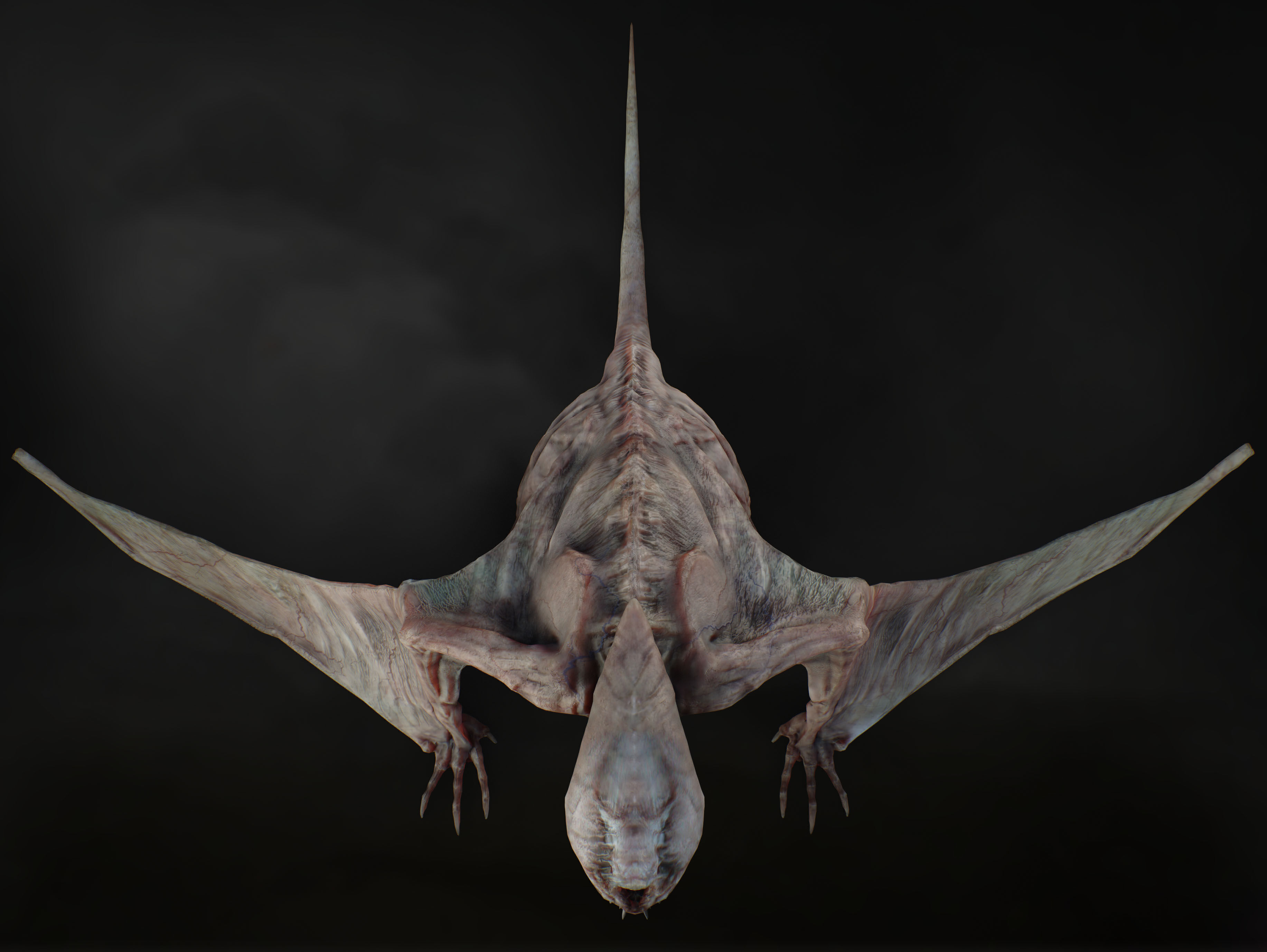 Vesp from the Silence Low-poly 3D model_10