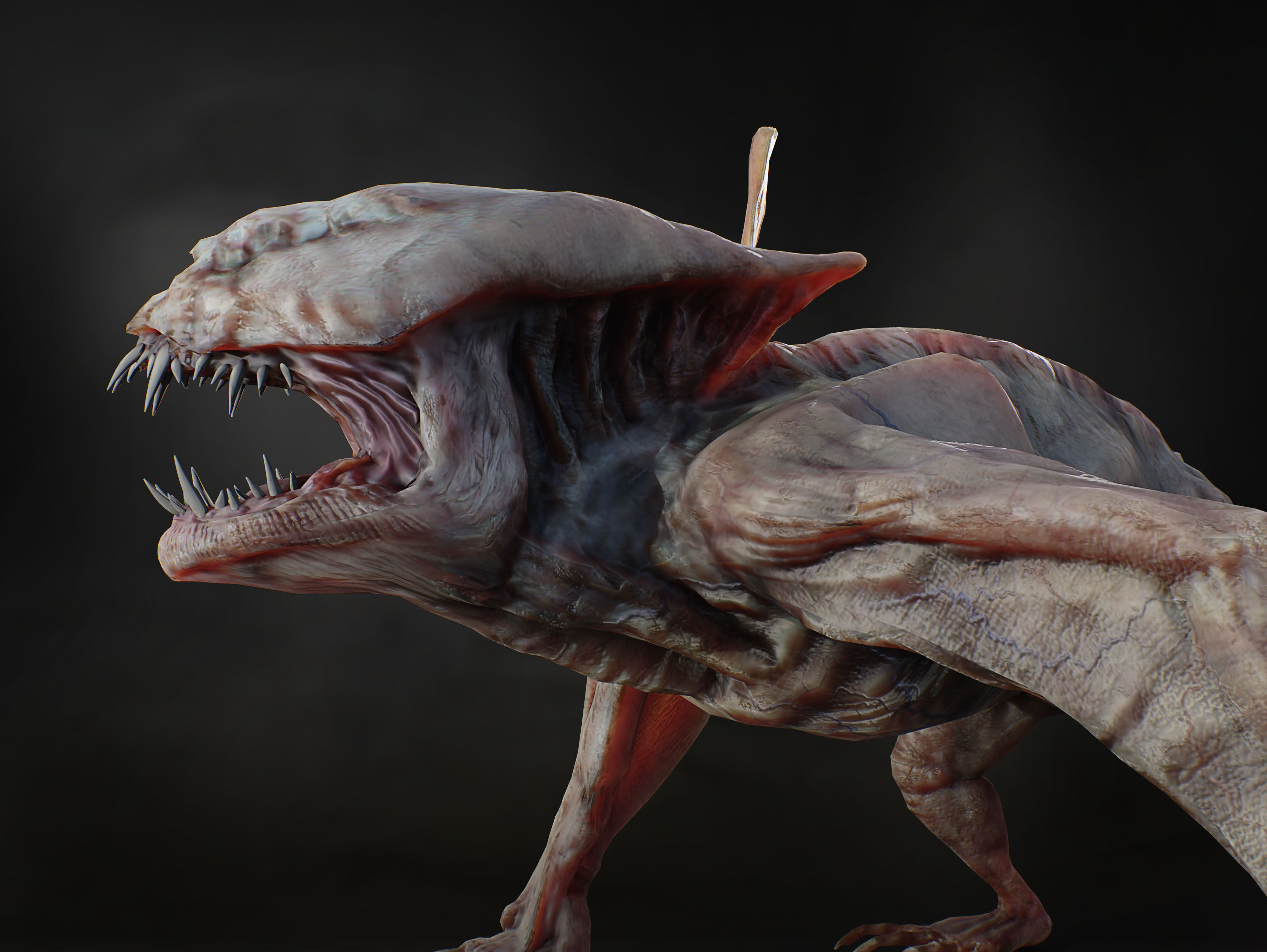 Vesp from the Silence Low-poly 3D model_3