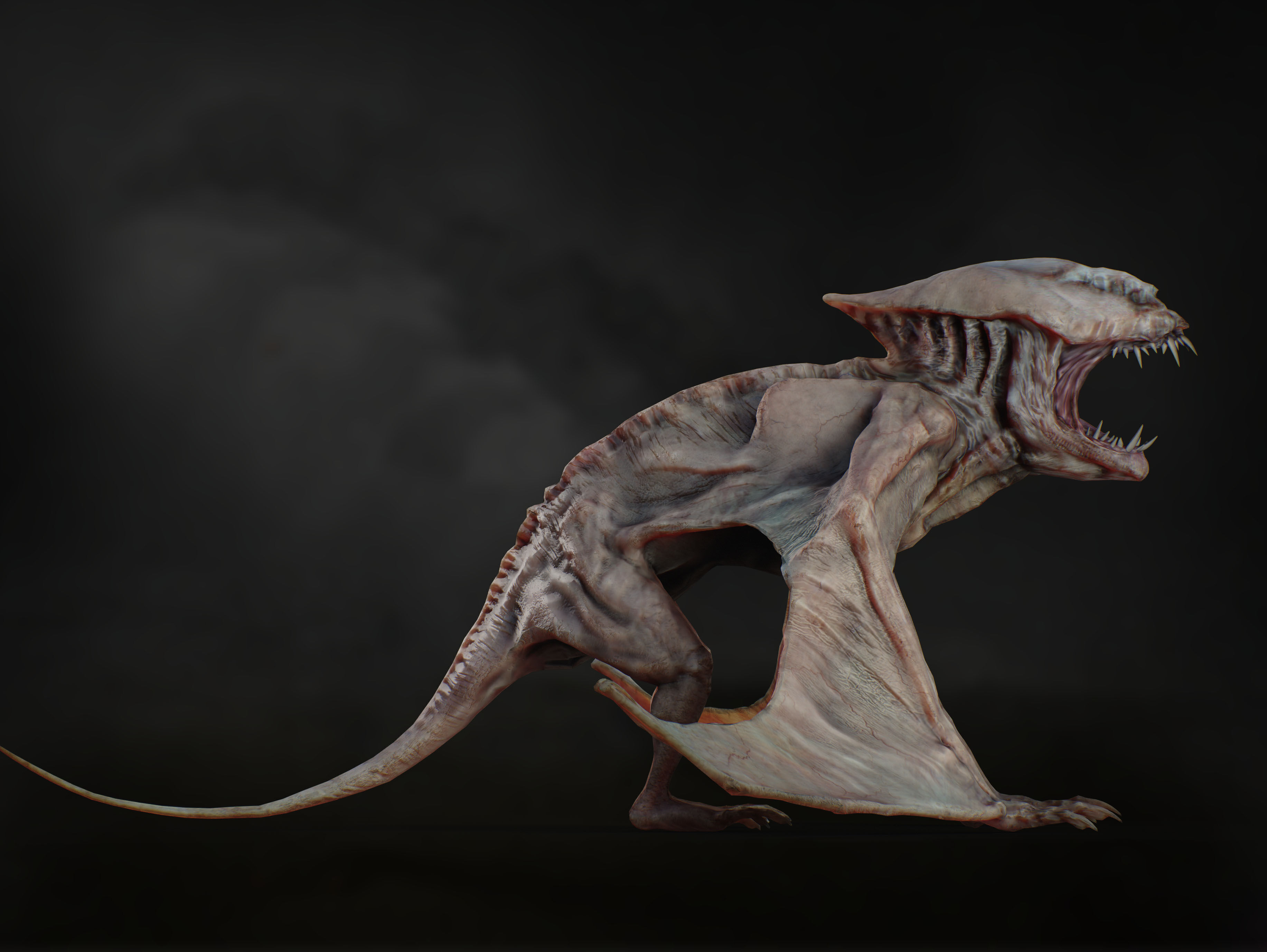 Vesp from the Silence Low-poly 3D model_11