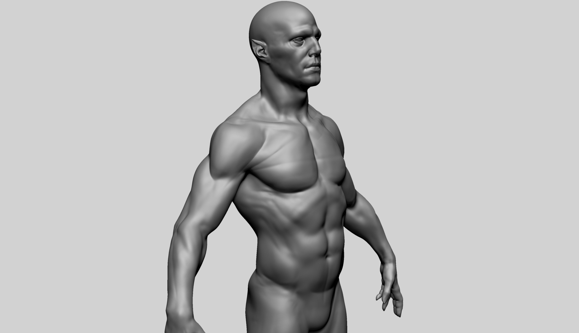 Humanoid Anatomy - Male A 3D model_7