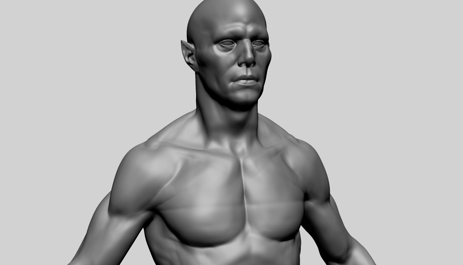 Humanoid Anatomy - Male A 3D model_9