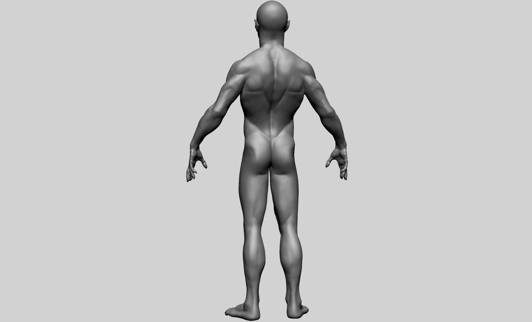 Humanoid Anatomy - Male A 3D model_2