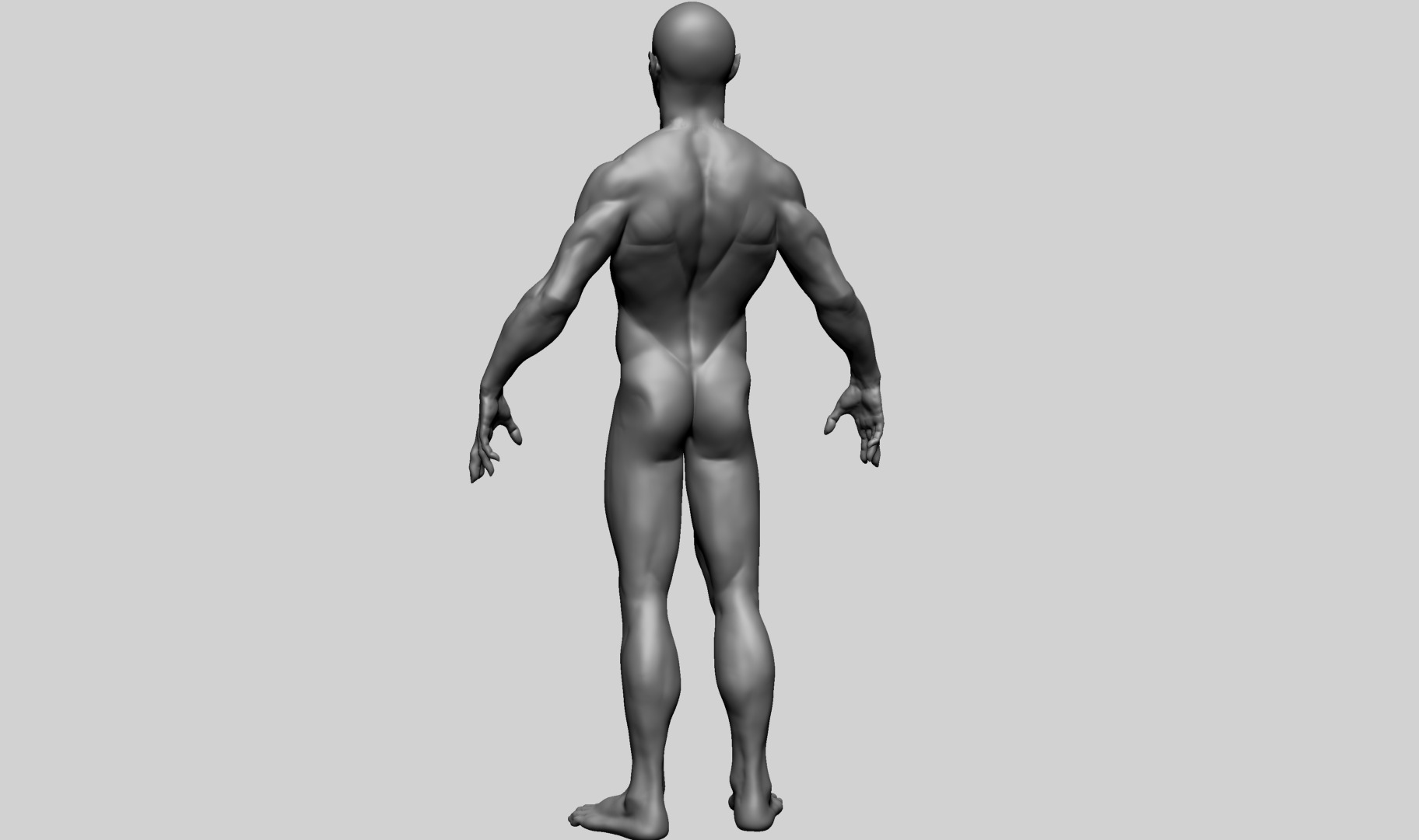 Humanoid Anatomy - Male A 3D model_8