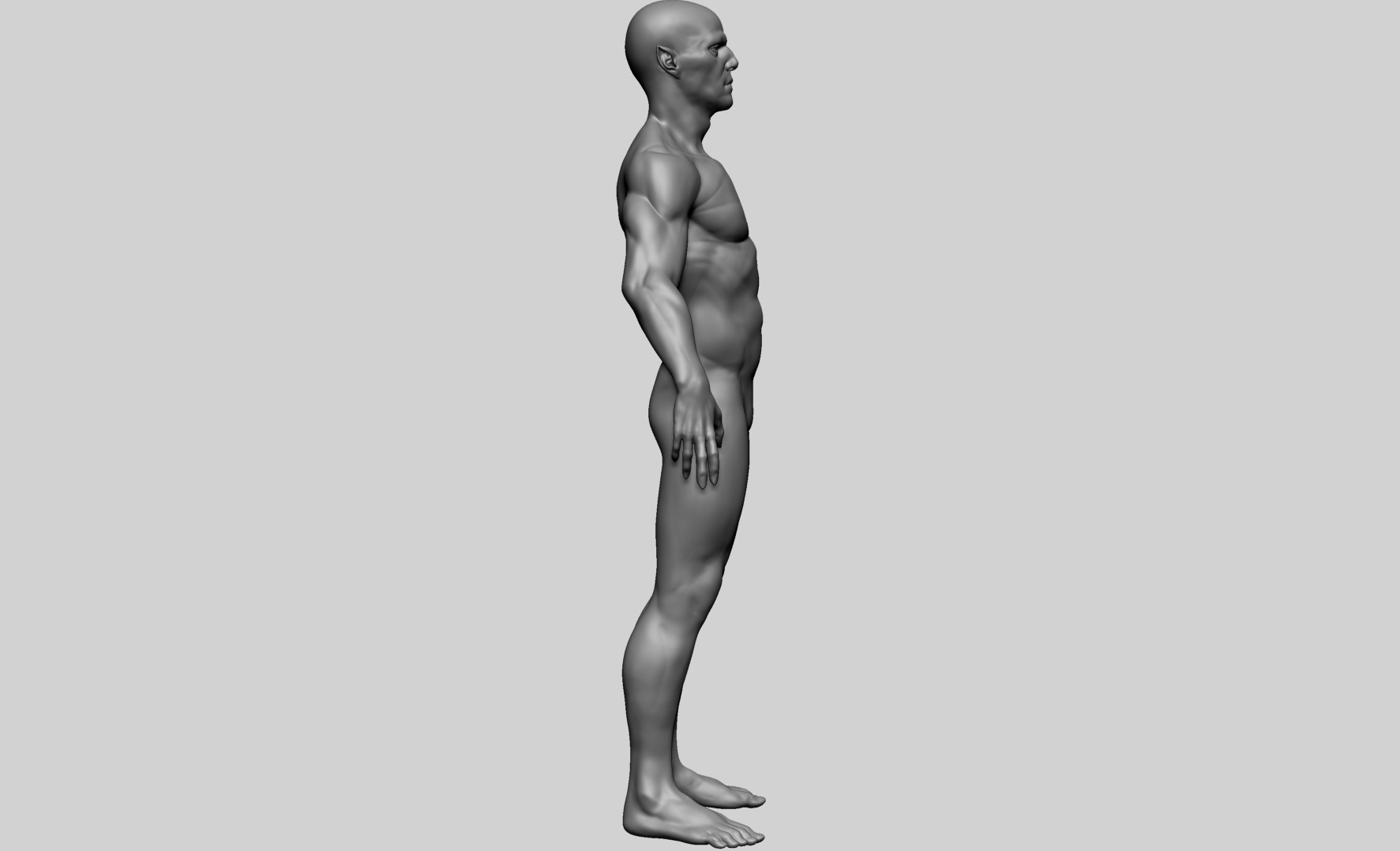 Humanoid Anatomy - Male A 3D model_3