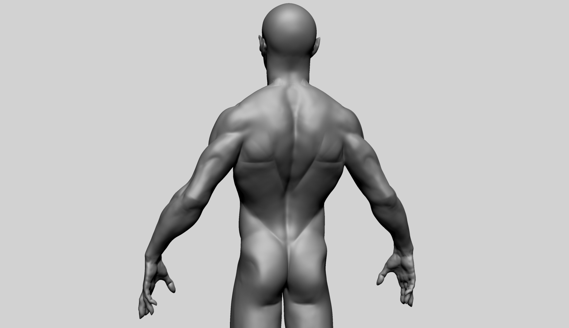 Humanoid Anatomy - Male A 3D model_6