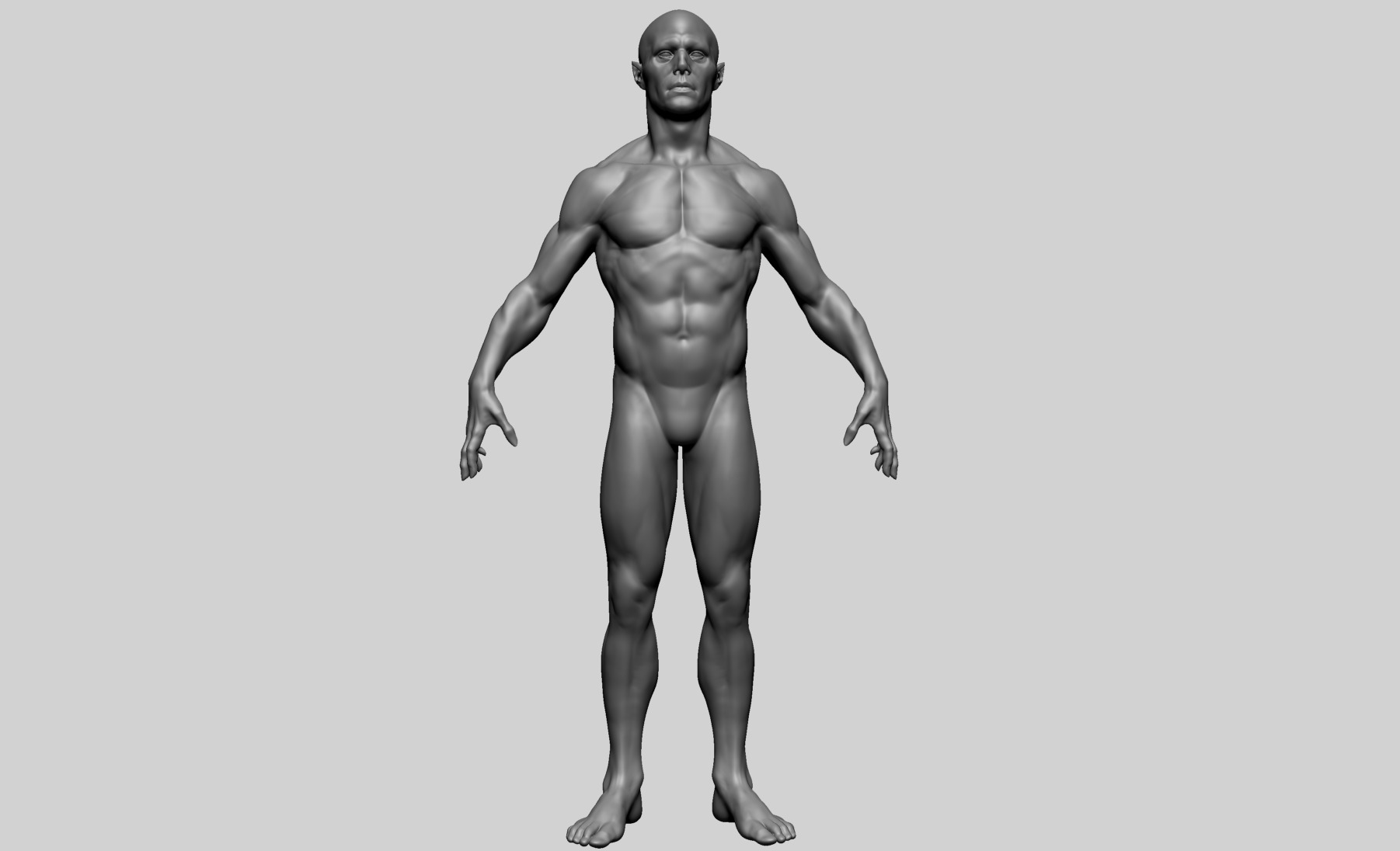 Humanoid Anatomy - Male A 3D model_1