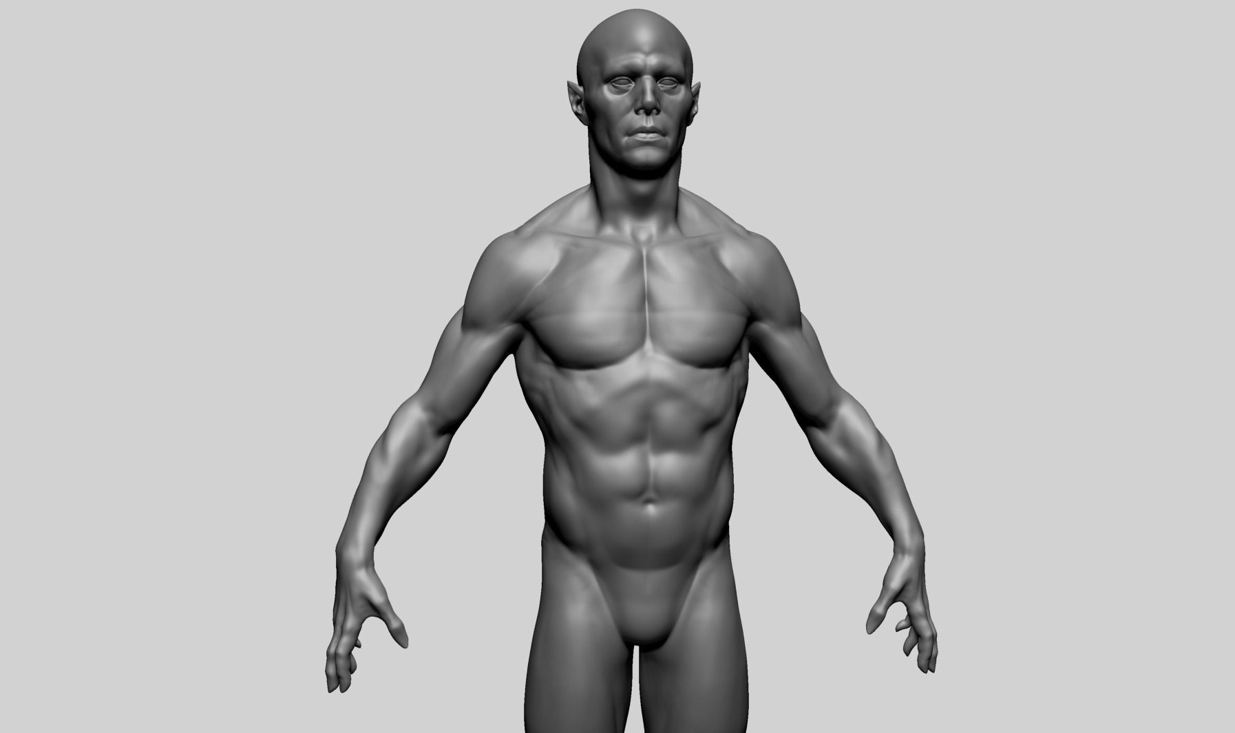Humanoid Anatomy - Male A 3D model_5