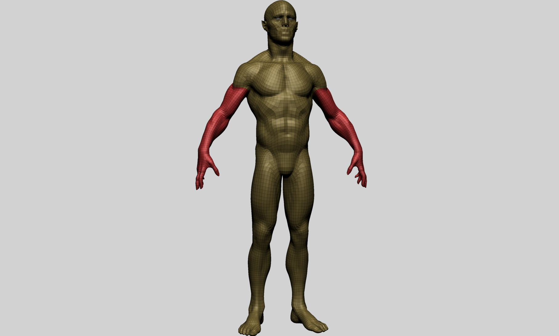 Humanoid Anatomy - Male A 3D model_12