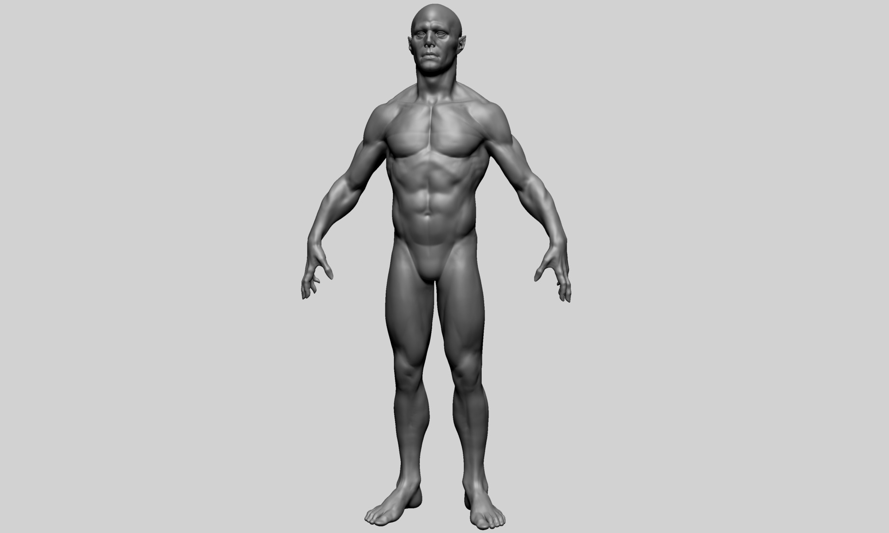 Humanoid Anatomy - Male A 3D model_4
