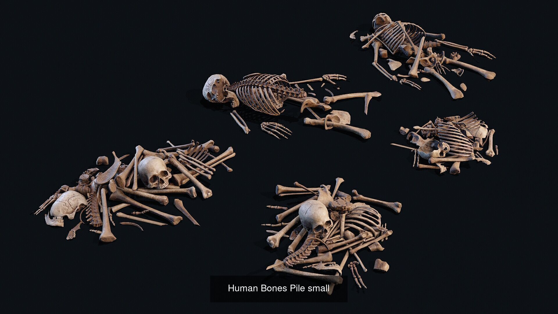  Skulls Bones Pile collections _5