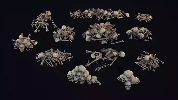  Skulls Bones Pile collections 