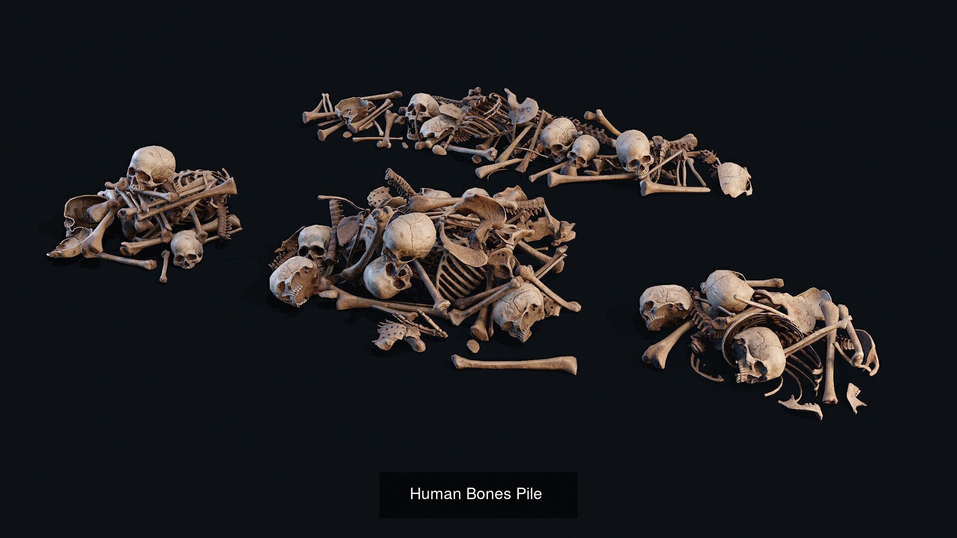  Skulls Bones Pile collections _4