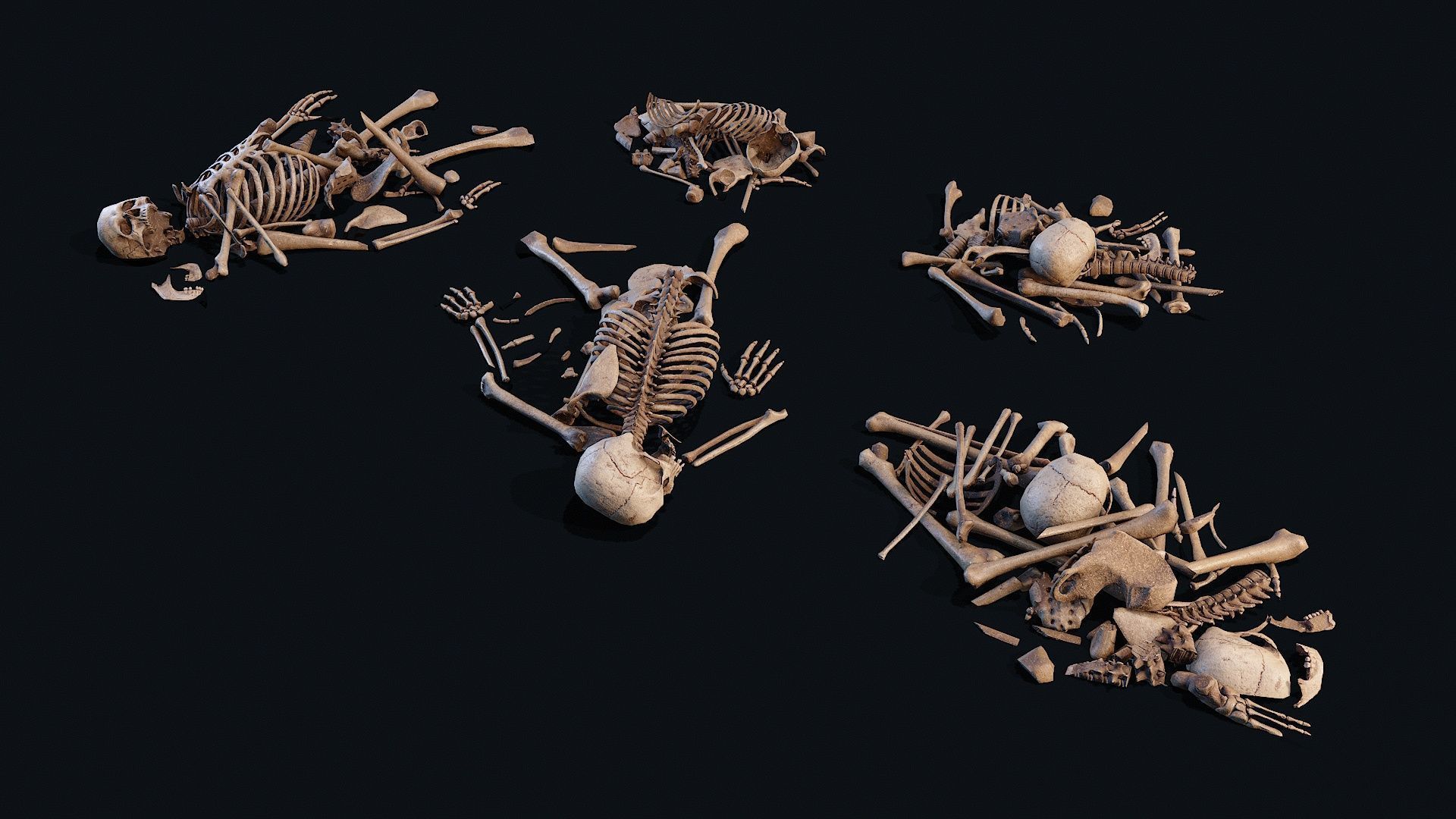  Skulls Bones Pile collections _6