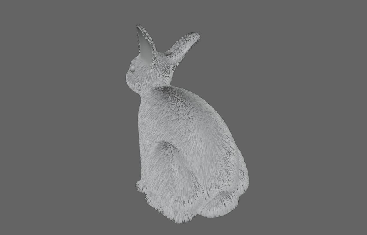White Rabbit - Coelho Branco Low-poly 3D model_14