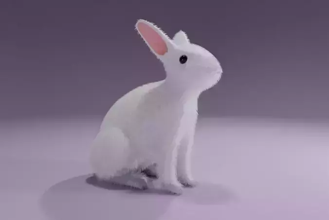 White Rabbit - Coelho Branco Low-poly 3D model