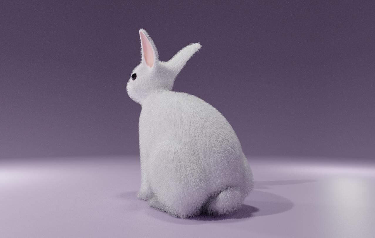 White Rabbit - Coelho Branco Low-poly 3D model_4