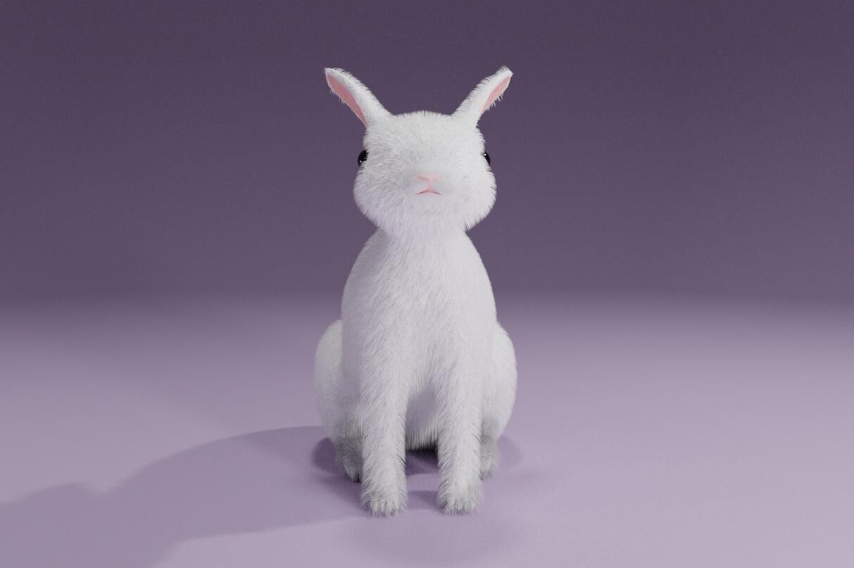 White Rabbit - Coelho Branco Low-poly 3D model_3