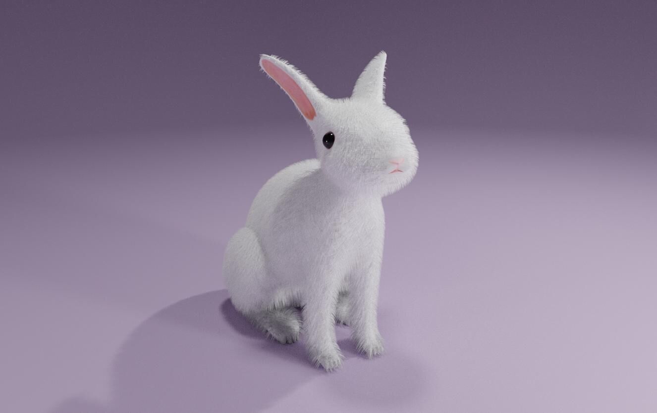 White Rabbit - Coelho Branco Low-poly 3D model_2