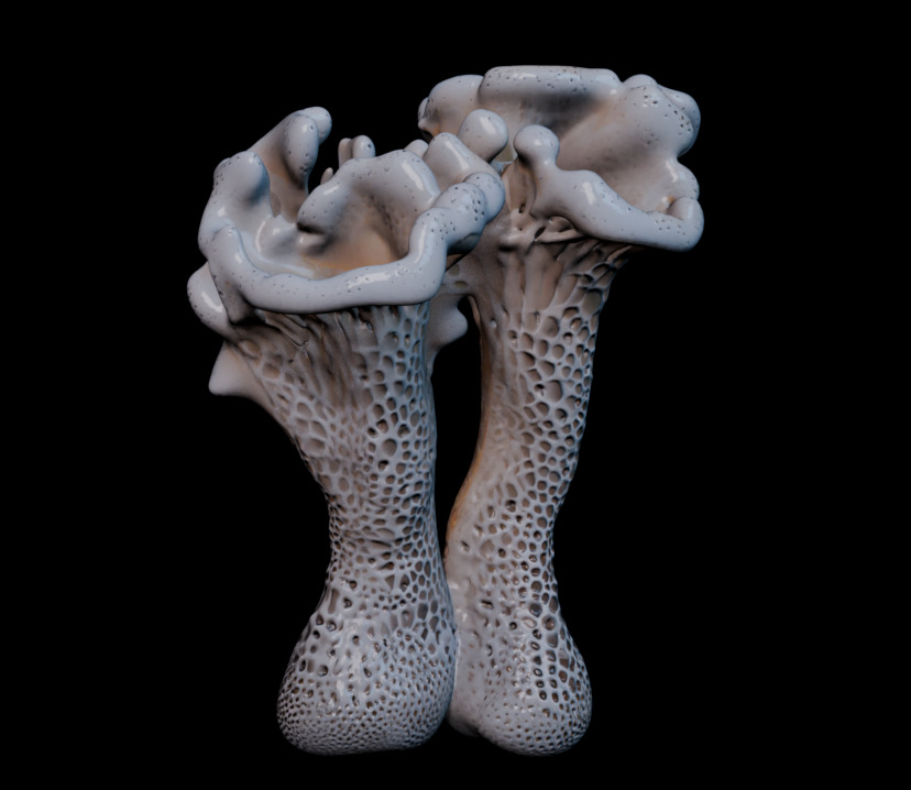 Reef Asset Pack Low-poly 3D model_15