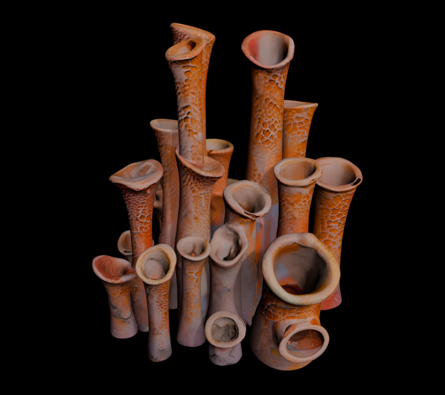 Reef Asset Pack Low-poly 3D model_10