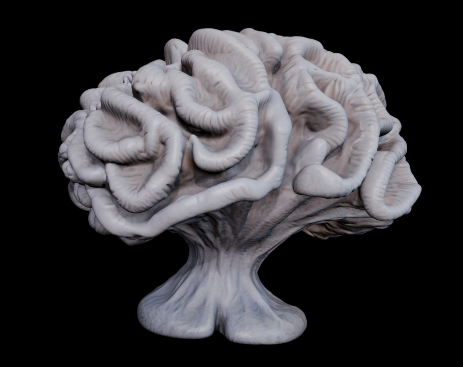 Reef Asset Pack Low-poly 3D model_1