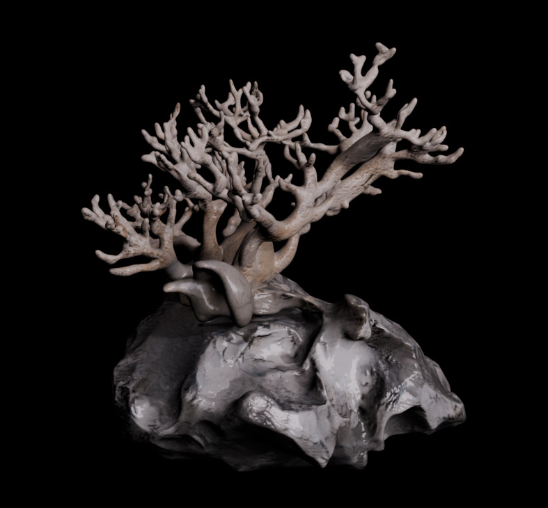 Reef Asset Pack Low-poly 3D model_9