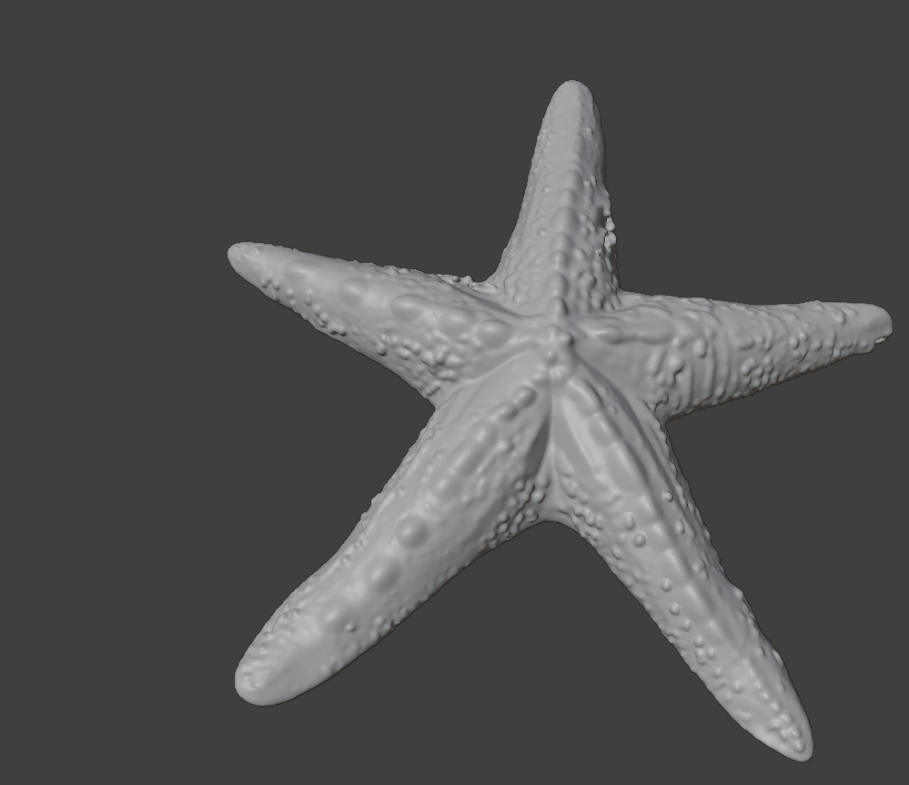 Reef Asset Pack Low-poly 3D model_22